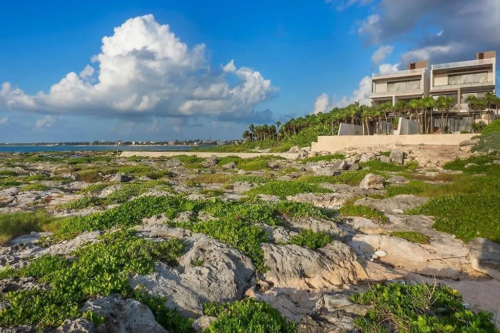Oceanview Villa 4Br Concierge Service Τουλούμ Μεξικό